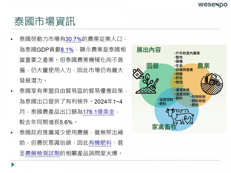 泰國 (3)